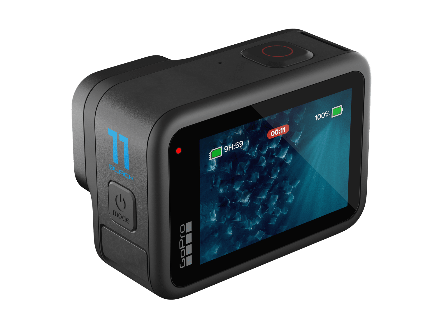 Gear Check: GoPro Hero 11 - Eco Dive Center :: LA's SCUBA Headquarters Gear Check: GoPro Hero 11 - Eco Dive Center :: LA's SCUBA Headquarters
